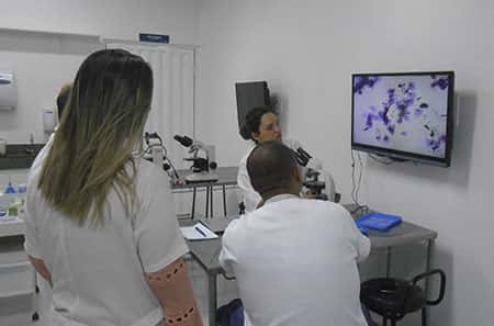 Cursos de Inseminação Artificial, Exame Andrológico e Congelamento de Sêmen de Cães